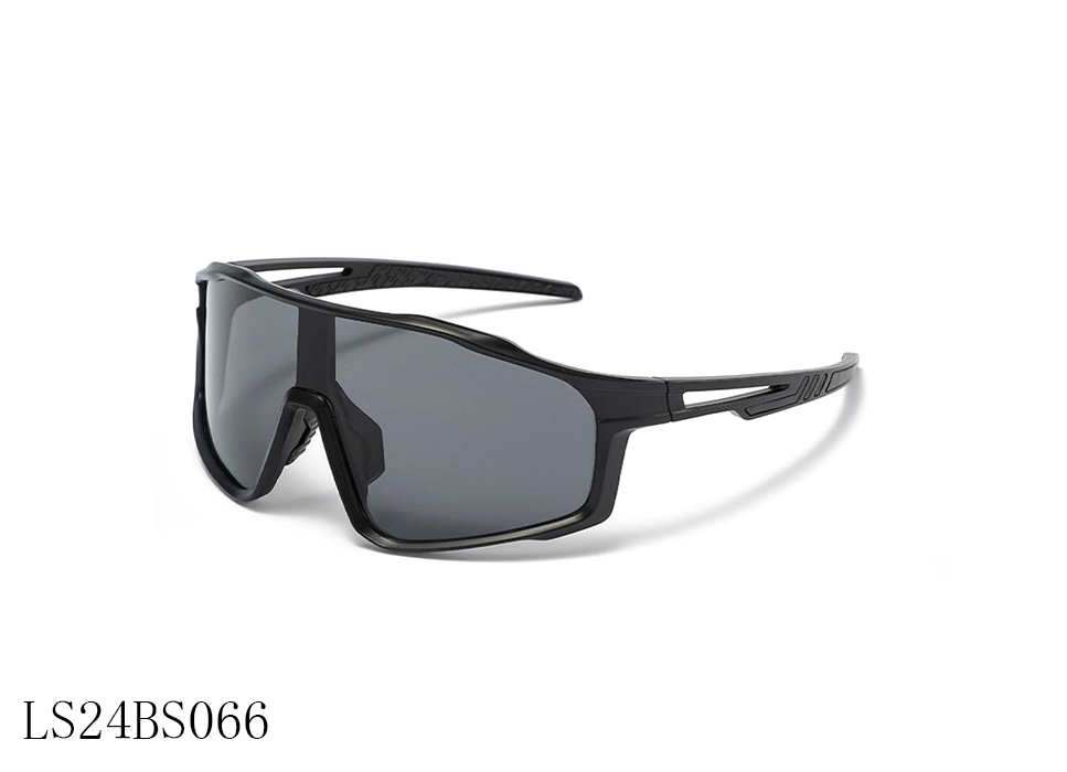 LS24BS066