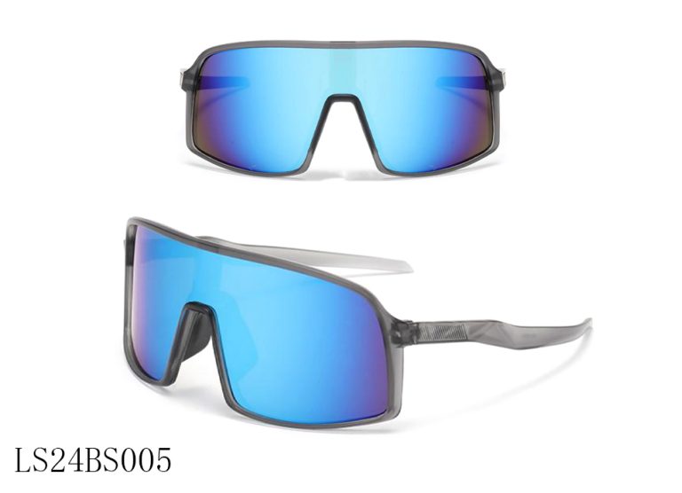 LS24BS005 C1