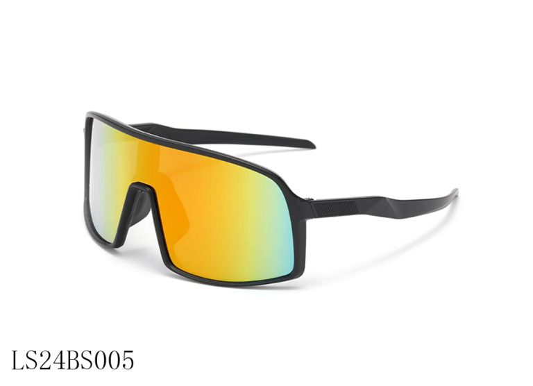 LS24BS005 C3