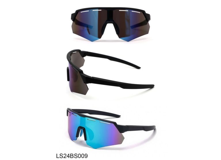 LS24BS009 L1